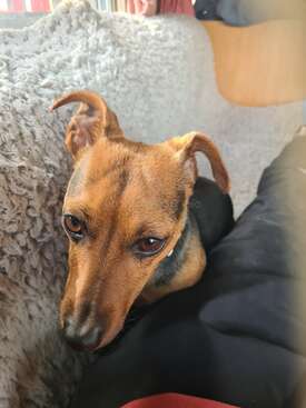 Profile photo of Gigi