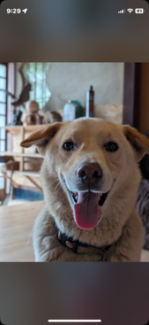 Profile photo of mashy