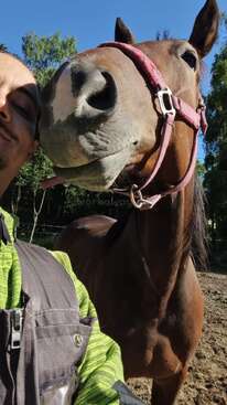 Profile photo of Pimu