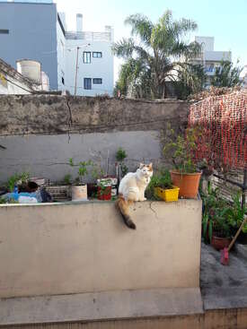 Profile photo of Josefina