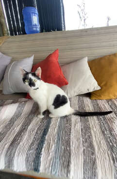 Profile photo of Sol