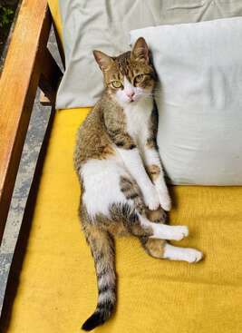 Profile photo of Cash