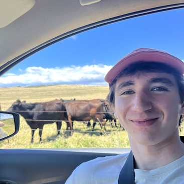 Profile photo of Noah