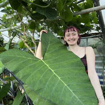 Profile photo of Merle