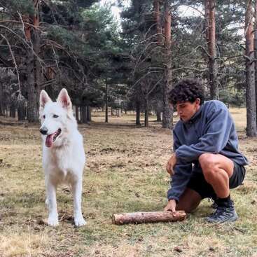 Profile photo of David