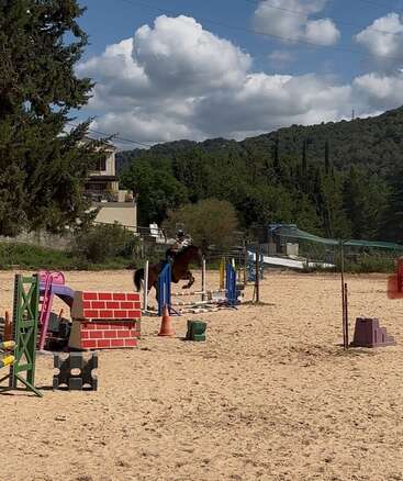 Profile photo of Charlotte