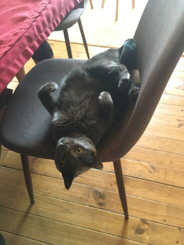 Profile photo of Jose