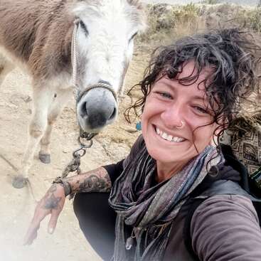 Profile photo of Alisson