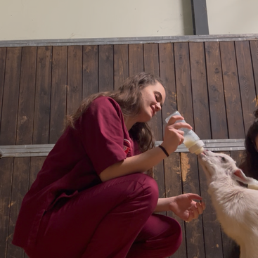 Profile photo of Miriana