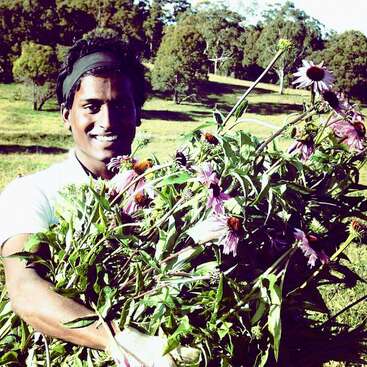 Profile photo of traveho