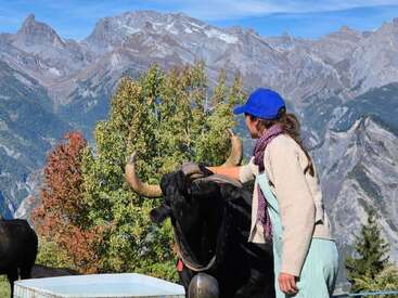 Profile photo of Tanyatanya