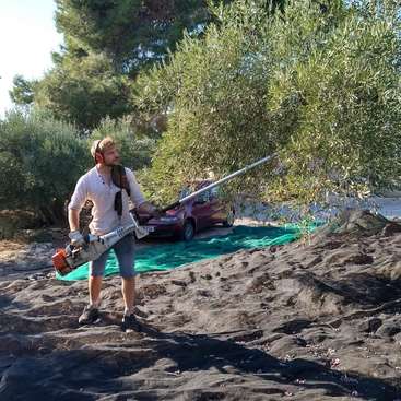 Profile photo of Jacob