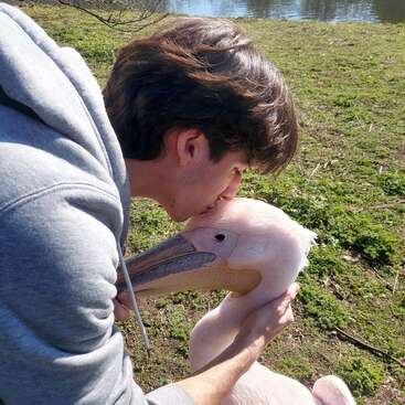 Profile photo of Filippo